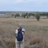  The Serengeti, TZ